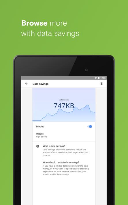 Opera浏览beta版13