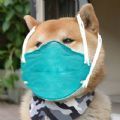 头像口罩生成器