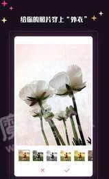 绅士相机 软件2