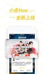 小虎Hoo0