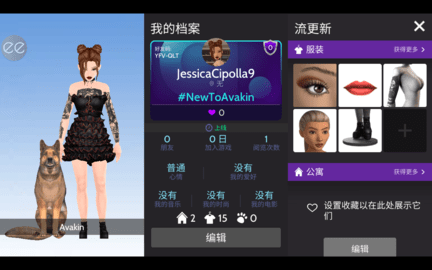 模拟生活3D虚拟世界（Avakin Life）2