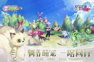 塞尔之光全版本2