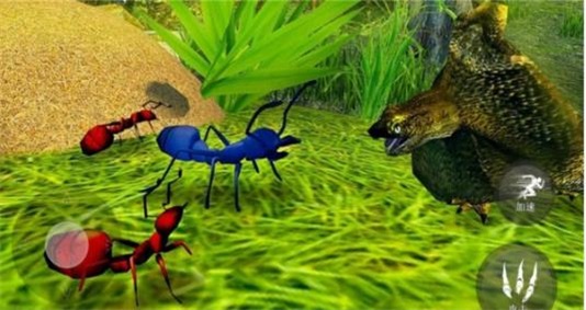 昆虫捣蛋模拟器2