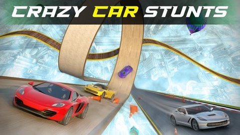 终极不可能的汽车特技驾驶（Real Car Stunt Game）2