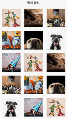 共创合伙人营销2