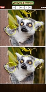 找到差异发现它23