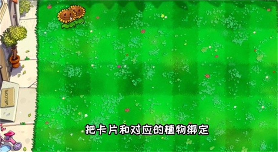 植物大战戴夫自制版1