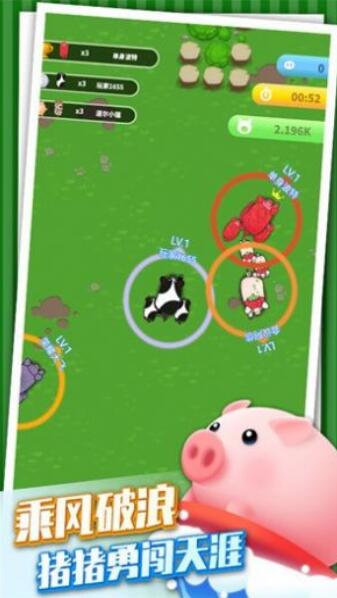 乘风破浪的猪4