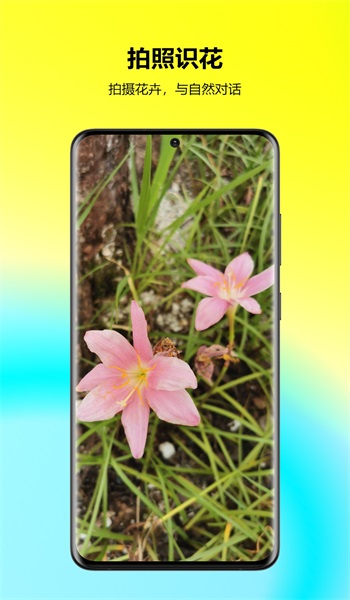 万能拍照识花1