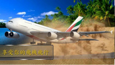 模拟飞行飞行员3D3