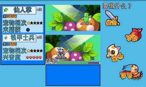 宠物王国5彩虹0