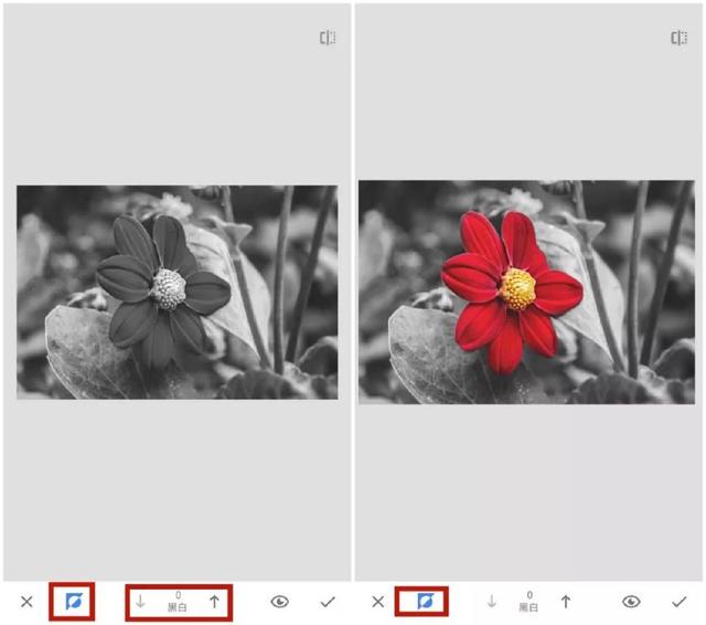 snapseed最新版本2023