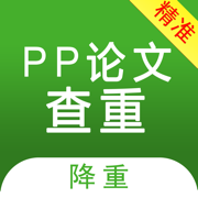 PP论文查重检测