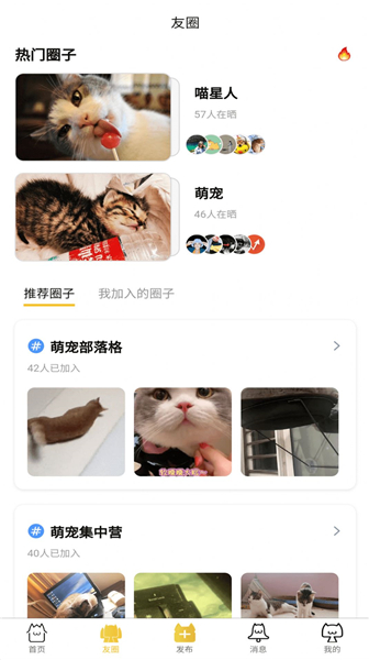 友猫社区1