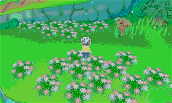 牧场物语起源的大地0