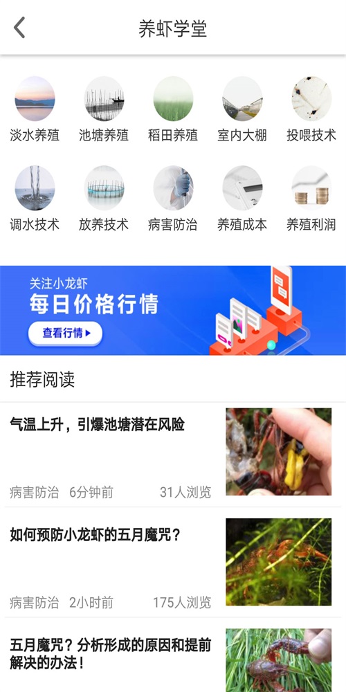 小龙虾价格网1