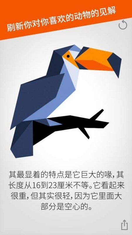 奇特动物拼图2