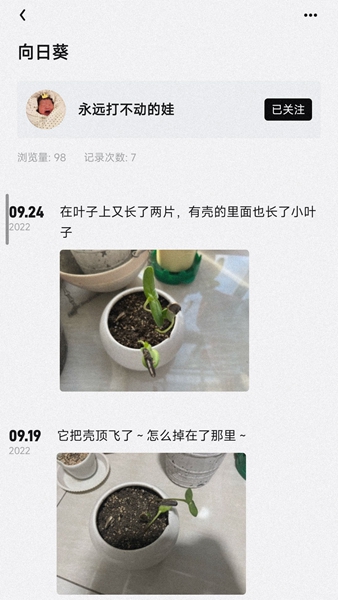 小植物记录3