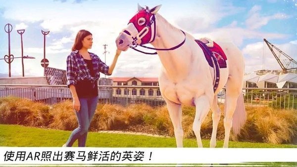 泥塑小马大挑战1