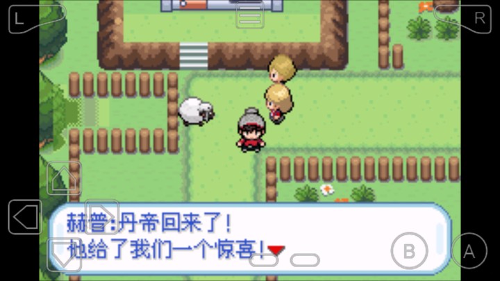 口袋妖怪剑盾4.1汉化版1