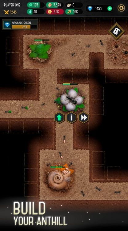 蚂蚁殖民地模拟器0