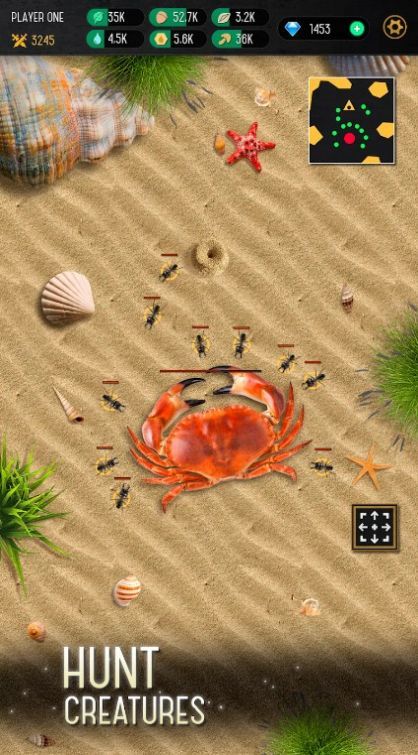 蚂蚁殖民地模拟器2