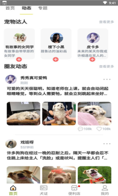 绵州犬管1