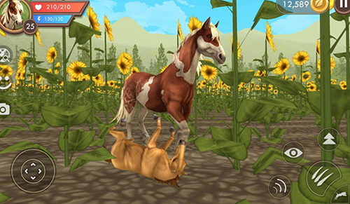 3d动物模拟器9999999钻石版1