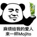 麻烦给我的爱人来一杯mojito图片