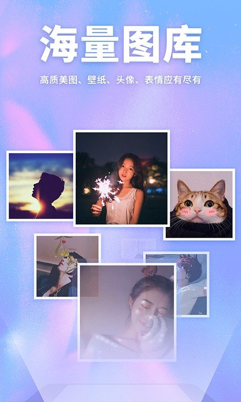 灵猫壁纸 灵猫壁纸