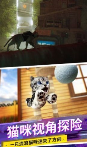 猫咪城市模拟器0