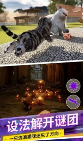 猫咪城市模拟器2