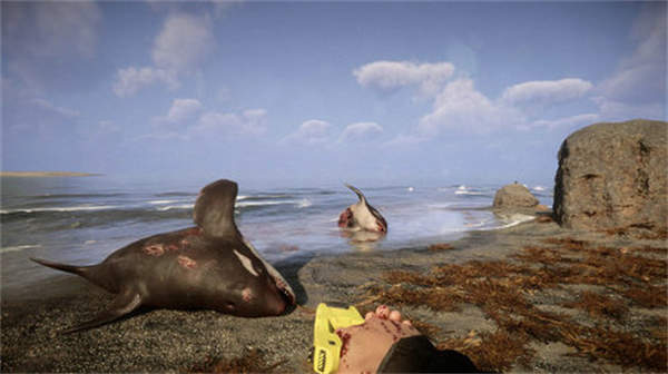 森林之子2联机版2