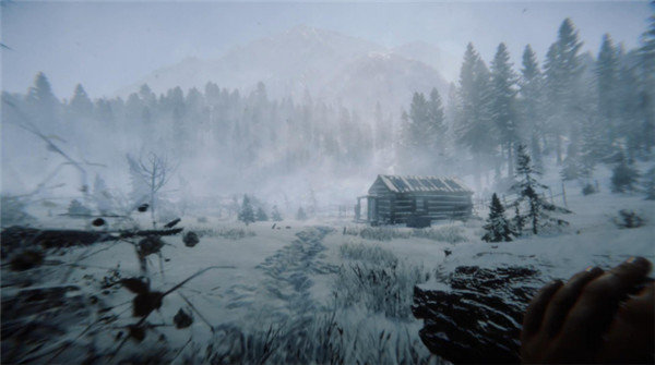 森林之子2联机版3