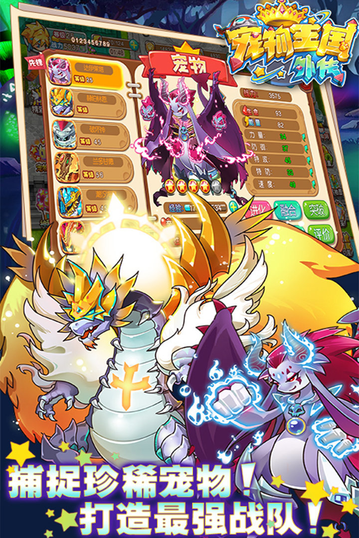 宠物王国999999级神宠1