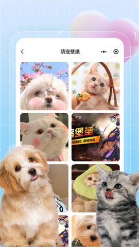 美好生活壁纸秀 美好生活壁纸秀