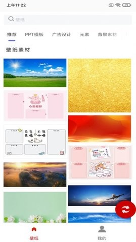 白鸽壁纸 白鸽壁纸