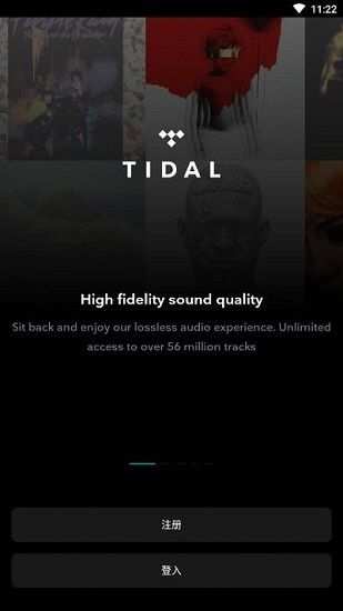 TIDAL0