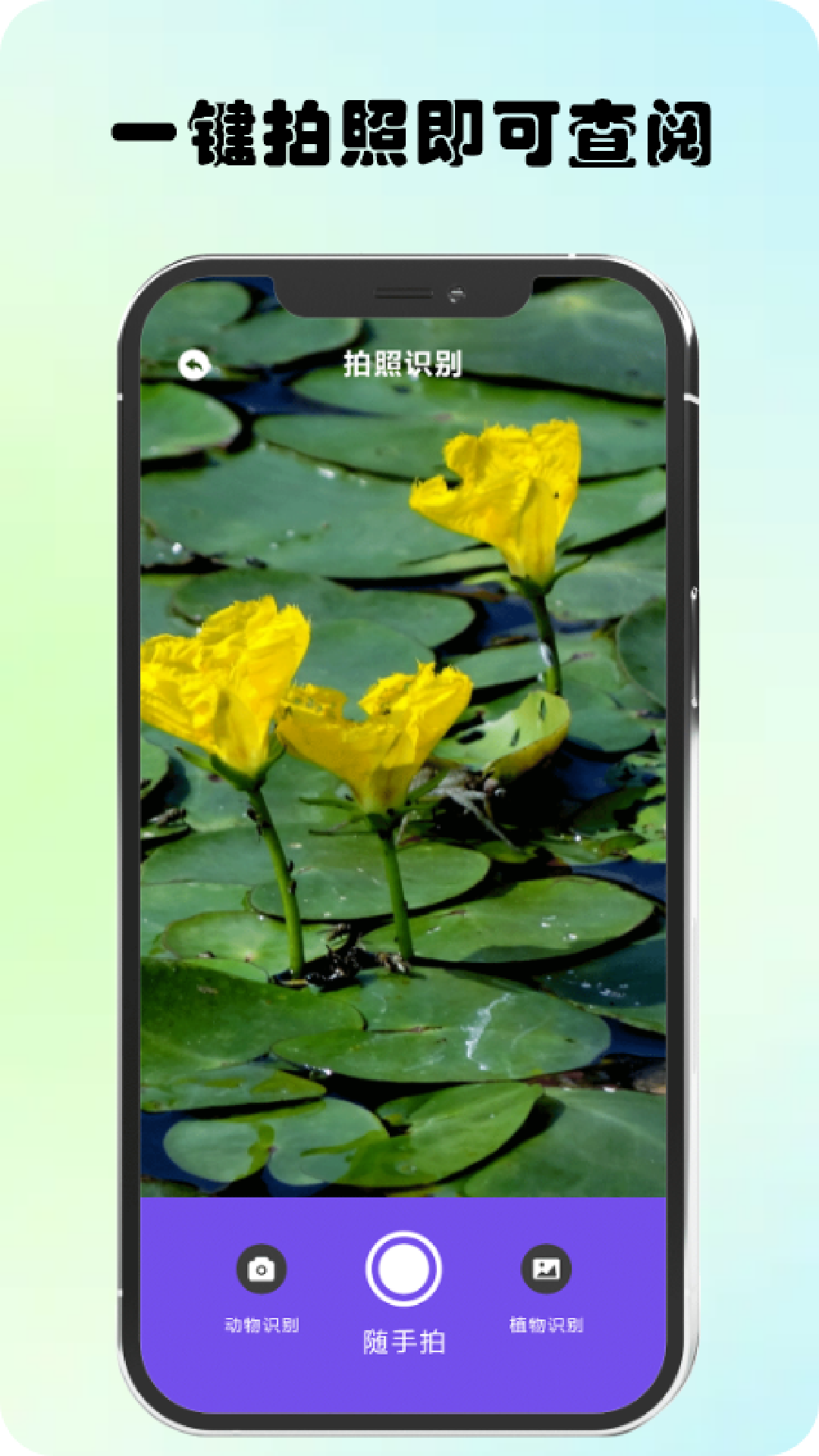万物识图高手0
