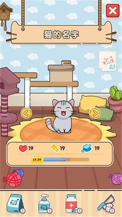 猫咪小舍红包版3
