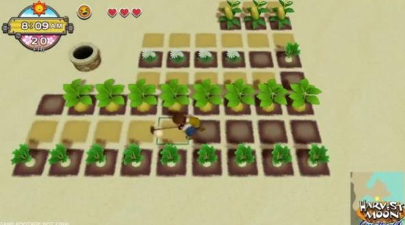 牧场物语一个世界手机版1