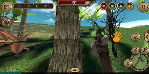 飞鱼王子最新版 飞鱼王子最新版