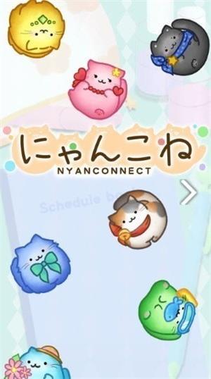 猫咪连结1