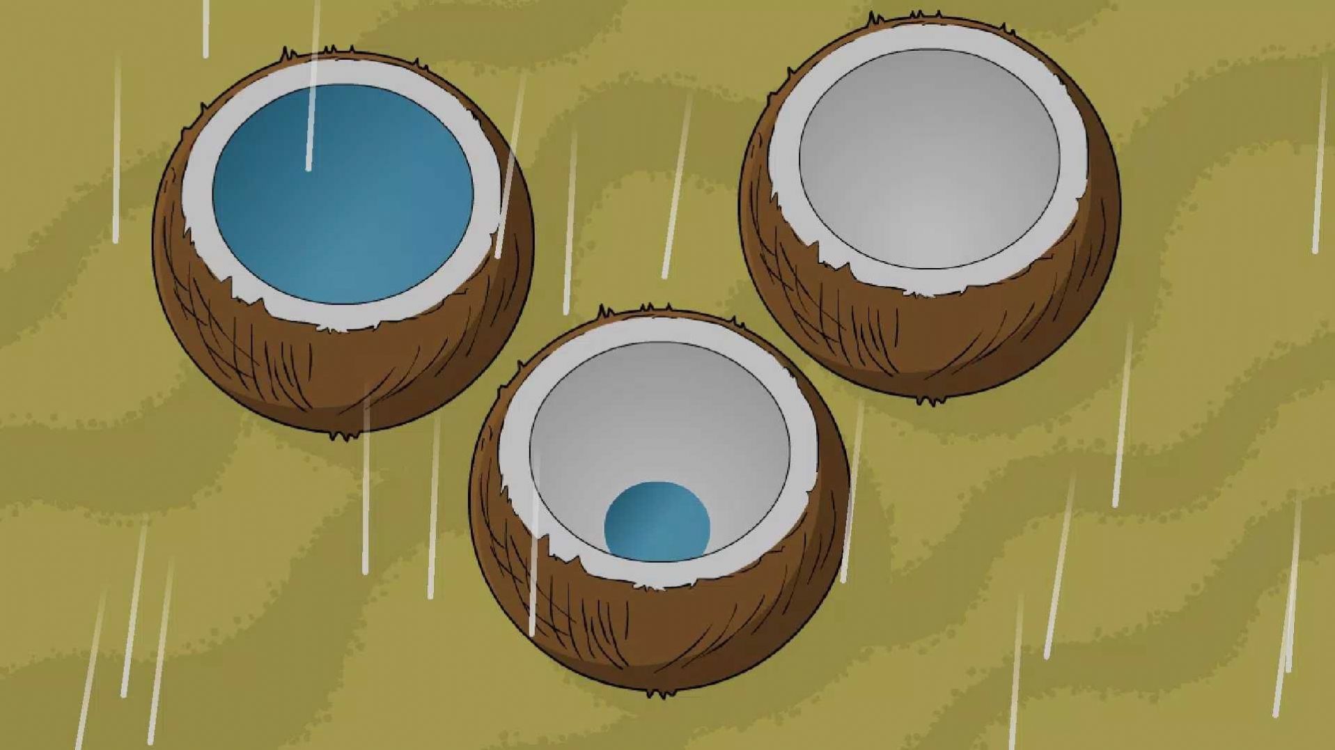 约翰尼岛生存30天1