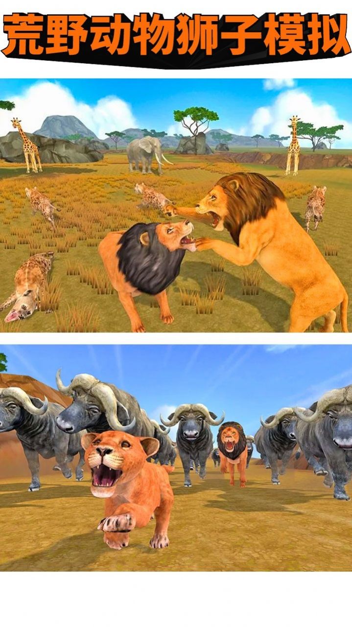 荒野动物狮子模拟0