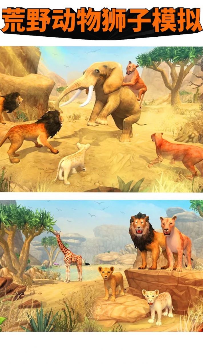 荒野动物狮子模拟1