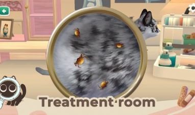 猫咪救援故事2