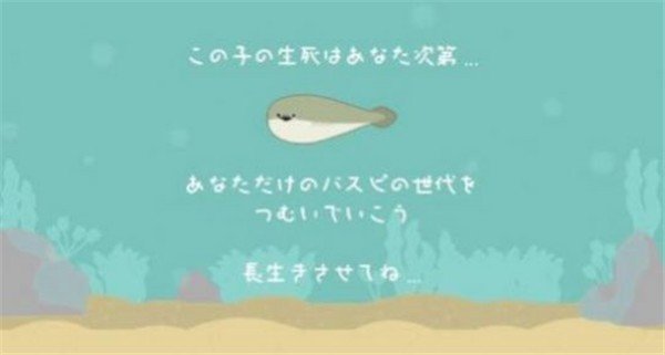 萨卡班甲鱼饲养3