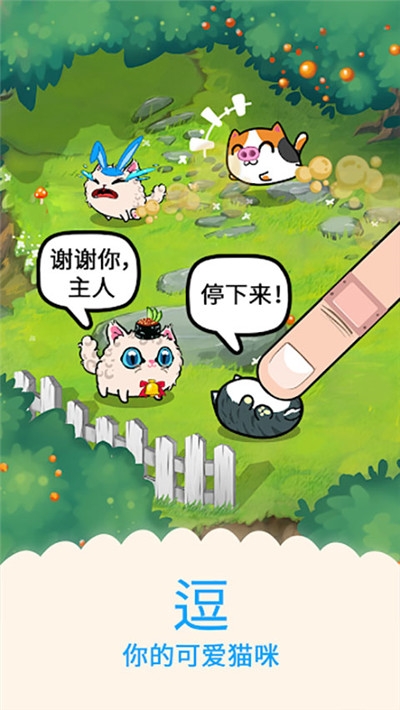 花样猫无限金币2