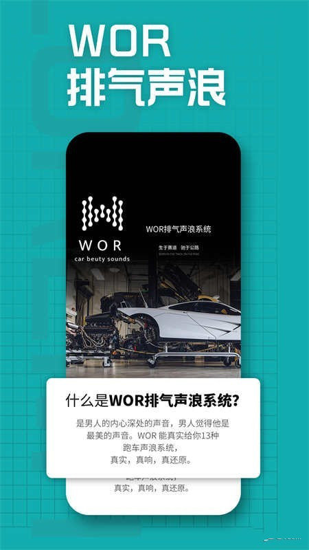 WOR系统1